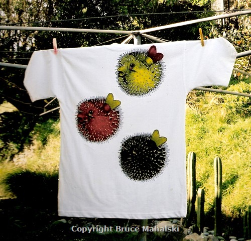  Porcupine fish t-shirt